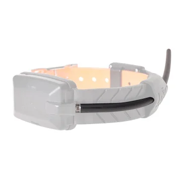 Antena RF para collares Dogtrace X20 y X30 | Carril Outdoor