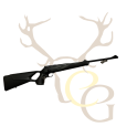 Rifle blaser r8 success (PL)