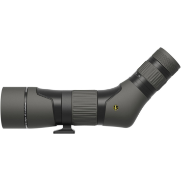 Telescopio LEUPOLD SX-2 Alpine HD 20-60x60 - 45°