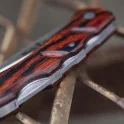 Navaja Muela K-7R Navaja Muela K-7R