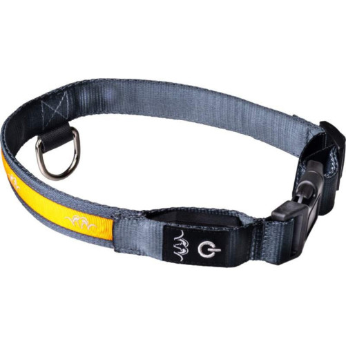 Collar led Blaser para perros