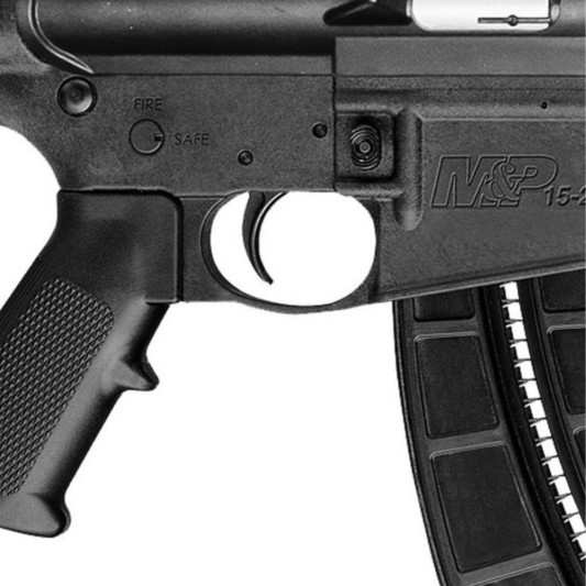 Carabina semiautomática Smith & Wesson M&P15-22 Sport