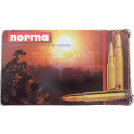 Bala Norma .22-250 SP 53 gr Bala Norma .22-250 SP 53 gr