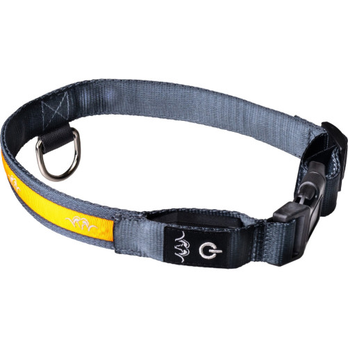 Collar LED para perro Blaser