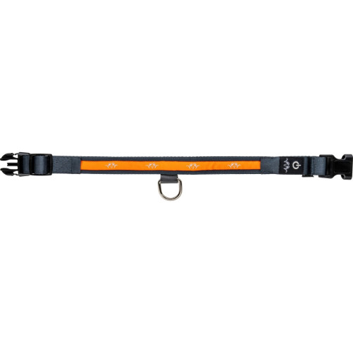 Collar LED para perro Blaser | Carril Outdoor