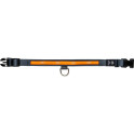 Collar LED para perro Blaser