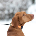 Dogtrace GPS X30