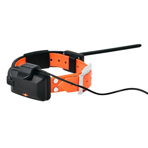 Collar adicional GPS Dogtrace X20