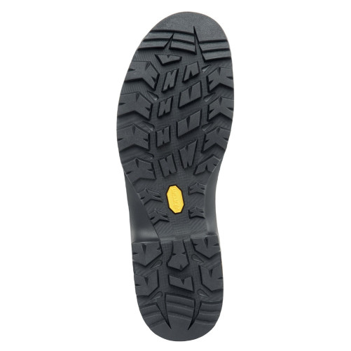 Botas Zamberlan Vioz Plus GTX RR WL