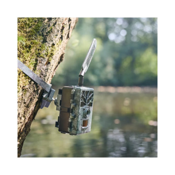 Cámara ZEISS Secacam 1 montada en árbol para monitoreo discreto de caza en entorno natural.