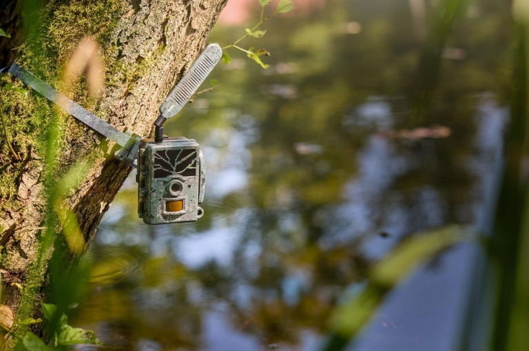 Cámara Zeiss Secacam 1 camuflada en árbol junto a zona de agua para fototrampeo