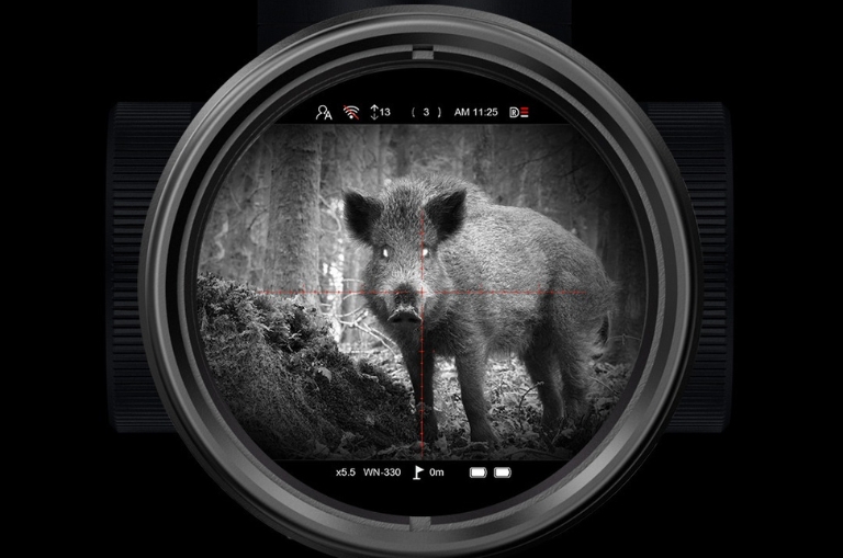 Visores PARD con pantalla circular en visión nocturna: jabalí en el visor y retícula centrada