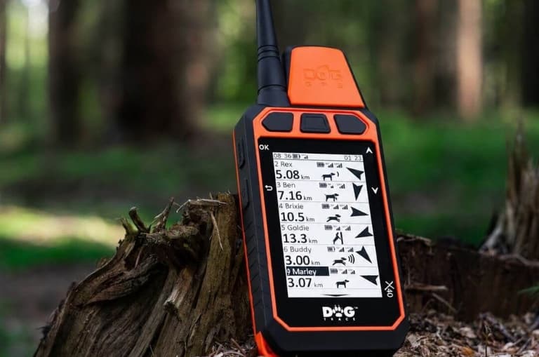 Dogtrace X40 mostrando seis perros simultáneamente en la pantalla