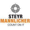 STEYR Mannlincher Arms