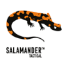 SALAMANDER