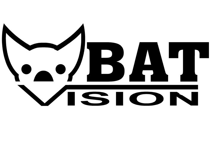 Bat Vision