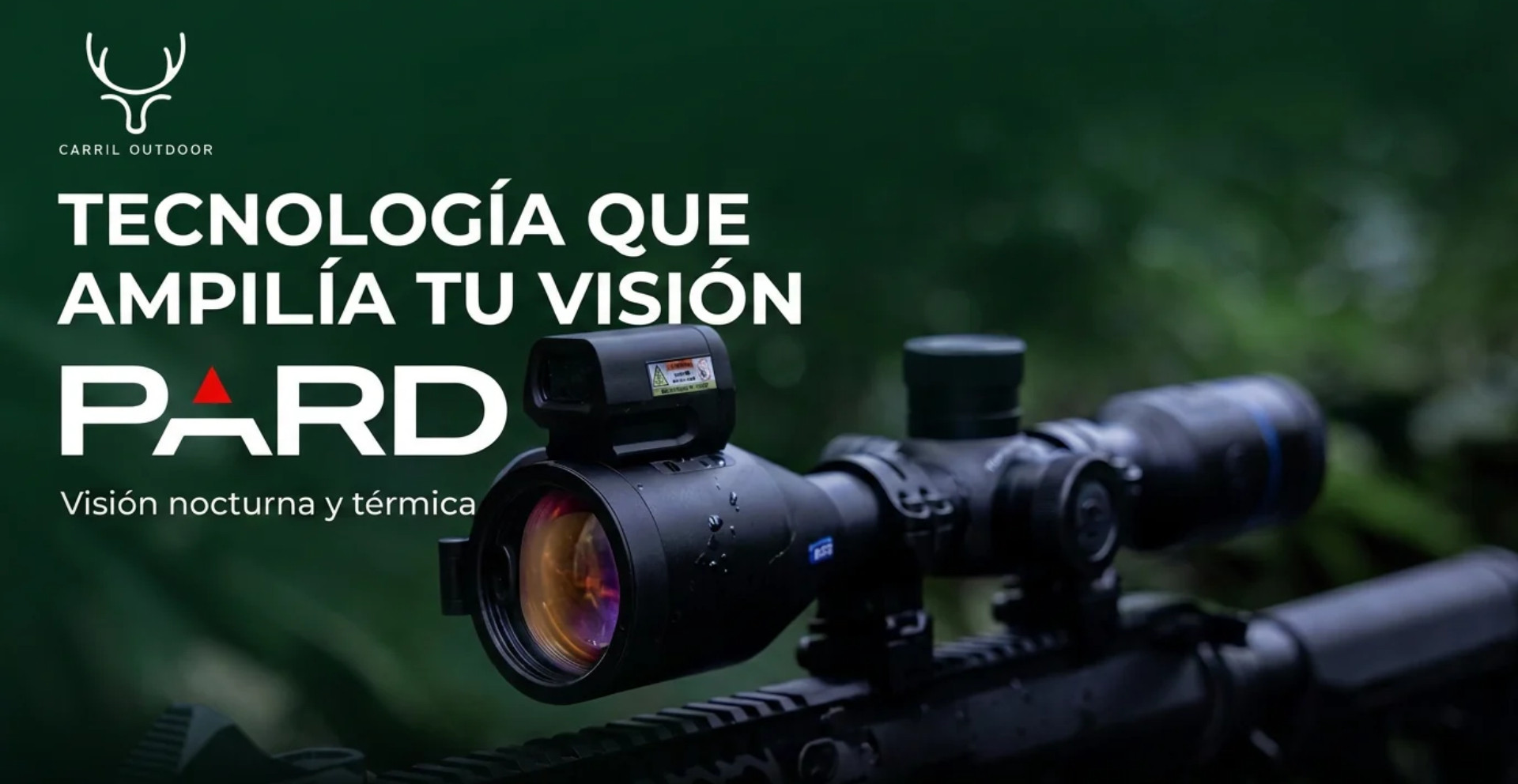 Main Slider